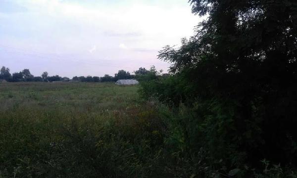  - фото нерухомості